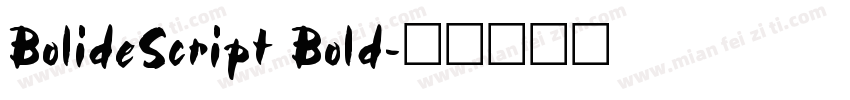 BolideScript Bold字体转换